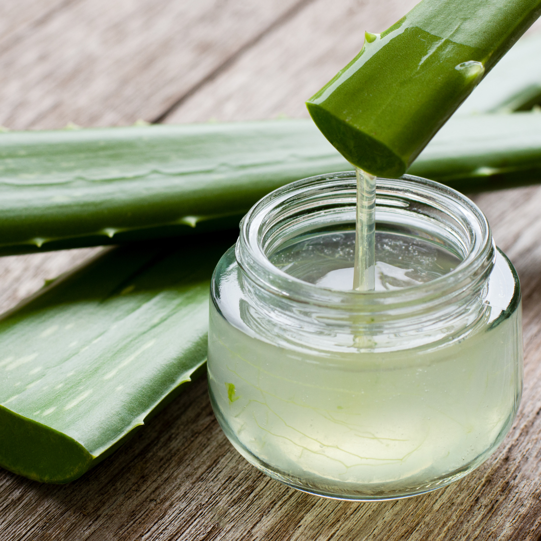 Kit Corporal y Capilar - Aloe Vera