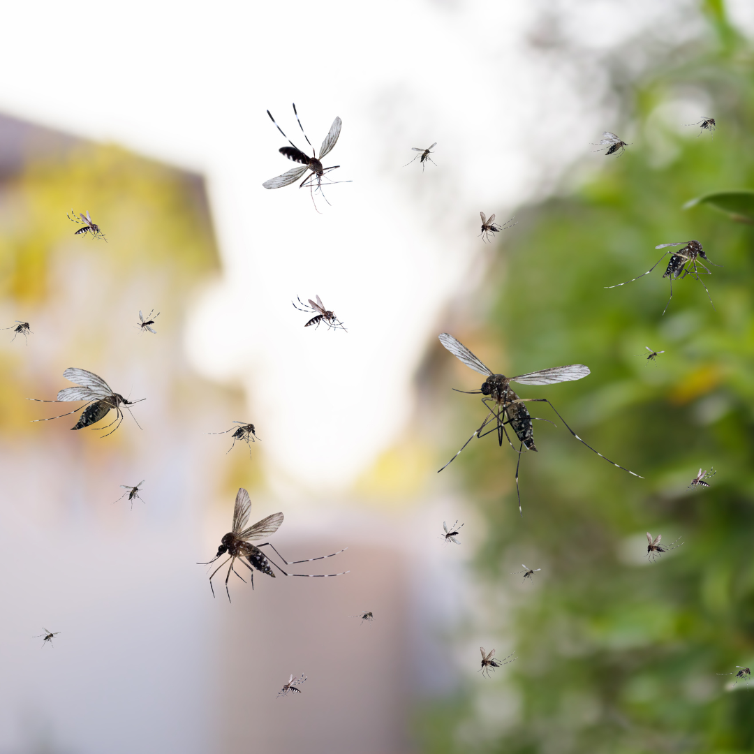 Repelente de Mosquitos con Citronela y Albahaca