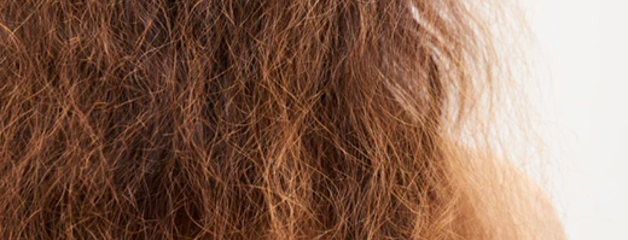El frizz capilar no se elimina… se equilibra