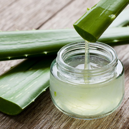 Shampoo Biodegradable con Aloe Vera