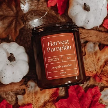 Vela Harvest Pumpkin